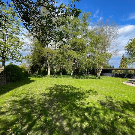 Traumhafte Ferienwohnung Am Park シェーセル エクステリア 写真